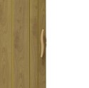 Drzwi harmonijkowe 001P JASNY DĄB MAT G - 100 cm