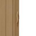 Drzwi harmonijkowe 001P OLCHA MAT - 100 cm