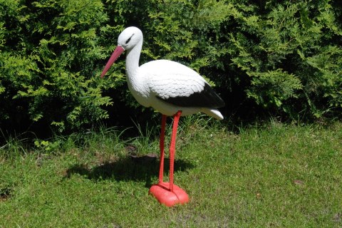 Bocian ozdoba do ogrodu naturalnej wielkości Bocian ozdoba do ogrodu naturalnej wielkości