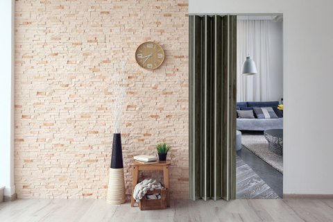 Drzwi harmonijkowe 001P DĄB GRAFIT MAT 100 cm Drzwi harmonijkowe 001P DĄB GRAFIT MAT 100 cm