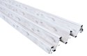 Drzwi harmonijkowe 008P-80-62 Dąb alaska mat 80 cm