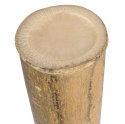 Tyczka bambusowa MOSO 100 cm 9-10 cm