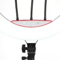 Lampa pierścieniowa LUMO LED RGB ring do filmów zdjęć makijażu