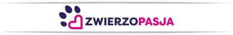 Ceramiczne miski dla psa 400ml 2x JAX białe Ceramiczne miski dla psa 400ml 2x JAX białe
