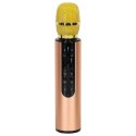 Mikrofon bezprzewodowy karaoke dla dzieci głośnik Bluetooth 2000mAh karta SD USB wysoka jakość złoty Mikrofon bezprzewodowy karaoke dla dzieci głośnik Bluetooth 2000mAh karta SD USB wysoka jakość złoty