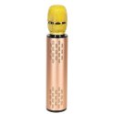 Mikrofon bezprzewodowy karaoke dla dzieci głośnik Bluetooth 2000mAh karta SD USB wysoka jakość złoty Mikrofon bezprzewodowy karaoke dla dzieci głośnik Bluetooth 2000mAh karta SD USB wysoka jakość złoty
