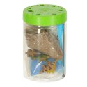 Hodowla dinozaurów terrarium projektor z lampką nocną LED Hodowla dinozaurów terrarium projektor z lampką nocną LED
