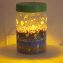 Hodowla dinozaurów terrarium projektor z lampką nocną LED Hodowla dinozaurów terrarium projektor z lampką nocną LED