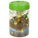 Hodowla dinozaurów terrarium projektor z lampką nocną LED Hodowla dinozaurów terrarium projektor z lampką nocną LED