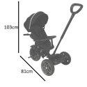 Rowerek trójkołowy TRIKE FIX Elite 2w1 rower spacerówka 6w1 czarny Rowerek trójkołowy TRIKE FIX Elite 2w1 rower spacerówka 6w1 czarny
