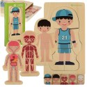 Puzzle drewniane warstwowe budowa ciała montessori chłopiec Puzzle drewniane warstwowe budowa ciała montessori chłopiec