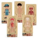 Puzzle drewniane warstwowe budowa ciała montessori chłopiec Puzzle drewniane warstwowe budowa ciała montessori chłopiec