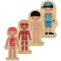 Puzzle drewniane warstwowe budowa ciała montessori chłopiec Puzzle drewniane warstwowe budowa ciała montessori chłopiec