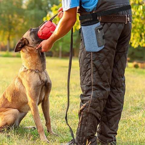 Saszetka na przysmaki dla psa MAILO niebieska Saszetka na przysmaki dla psa MAILO niebieska